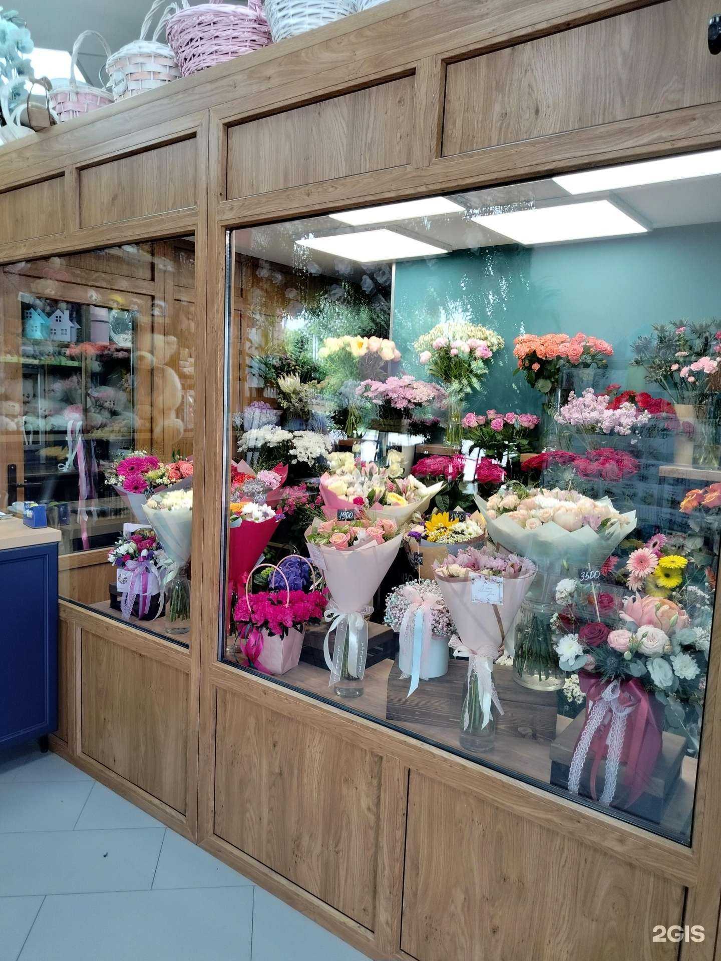 Отзывы на компанию Несен студио в г. Орехово-Зуево c фото