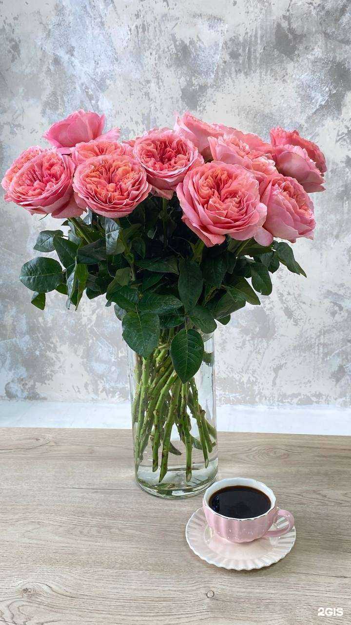 Отзывы на компанию Buket в Новокузнецке c фото