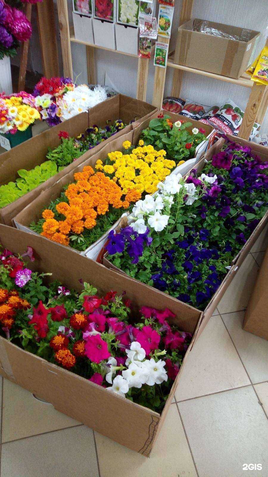 Отзывы на компанию Florins в Нижнем Новгороде c фото