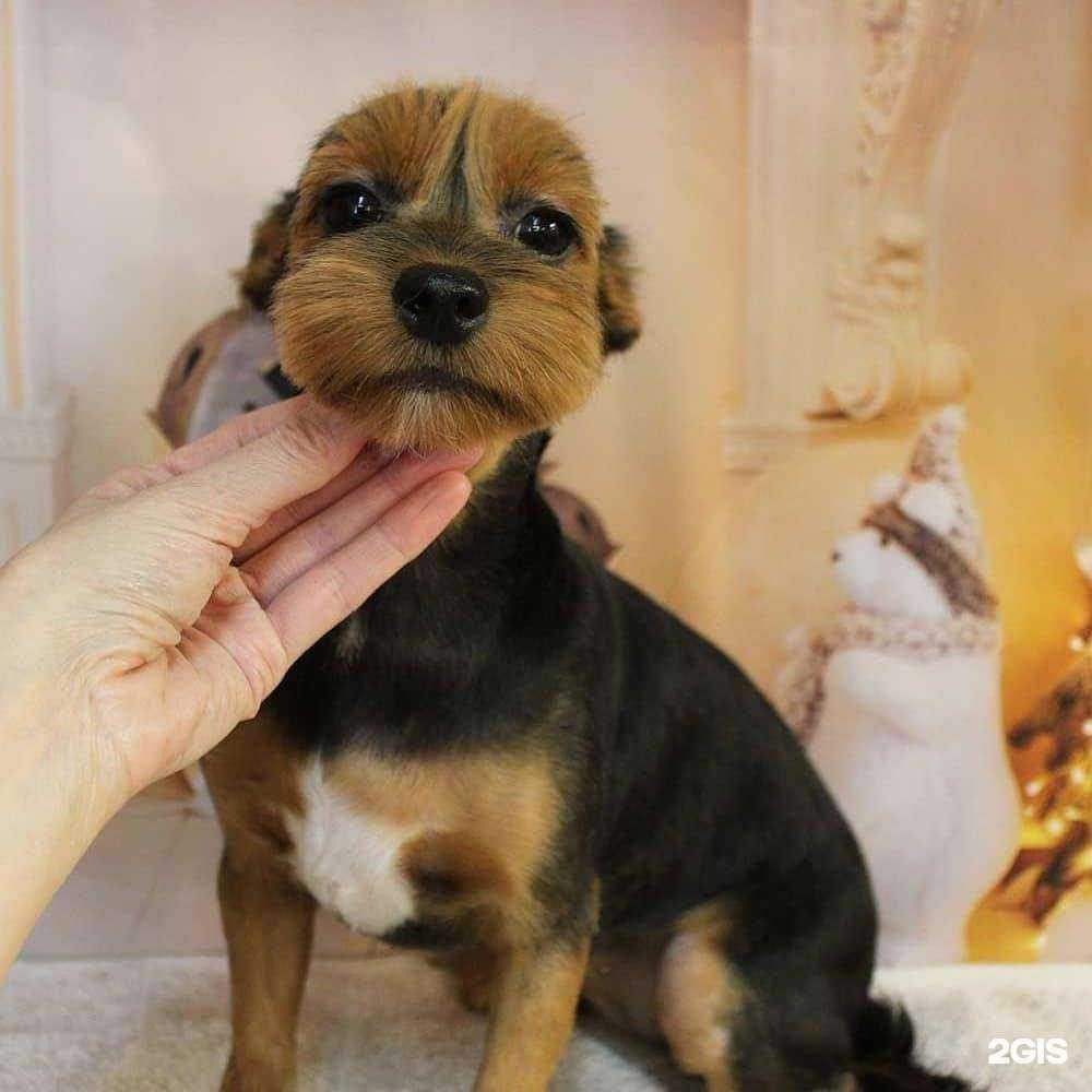 Отзывы на компанию Добрый мастер в г. Сосновый Бор c фото