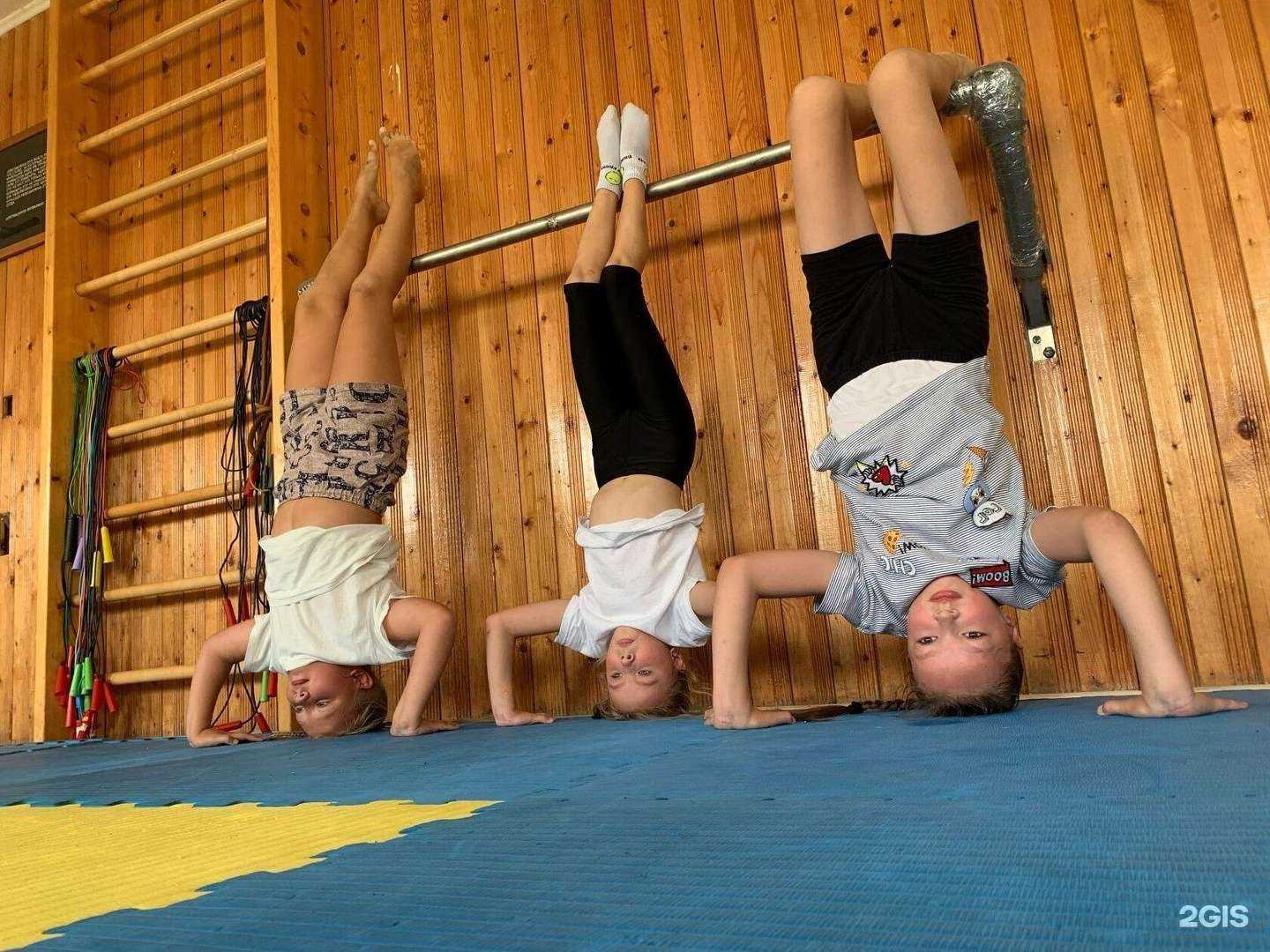 Отзывы на компанию Кудо боец в г. Киров c фото