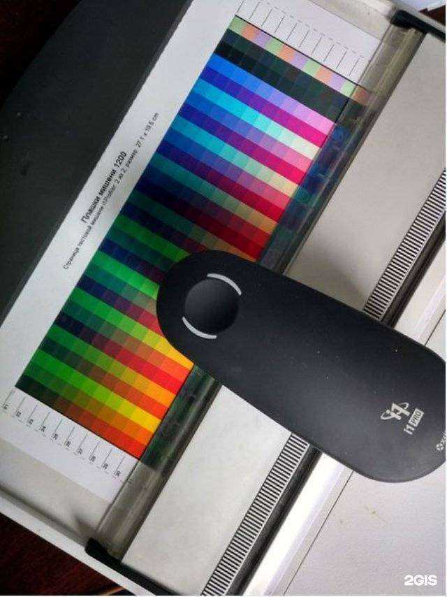 Отзывы на компанию Drg studio в Калининграде c фото