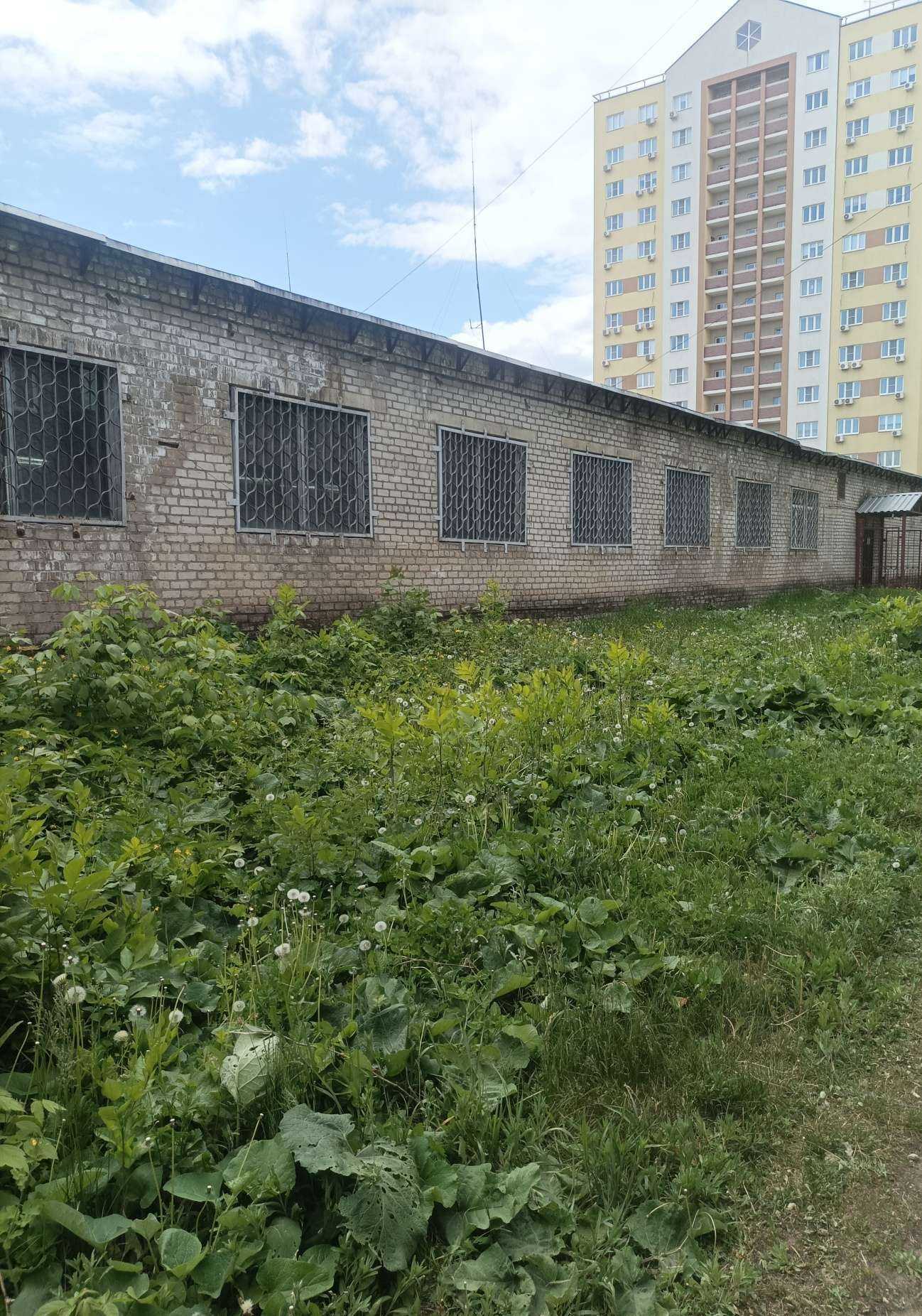 Отзывы на компанию Спортивная школа №2 в Липецке c фото