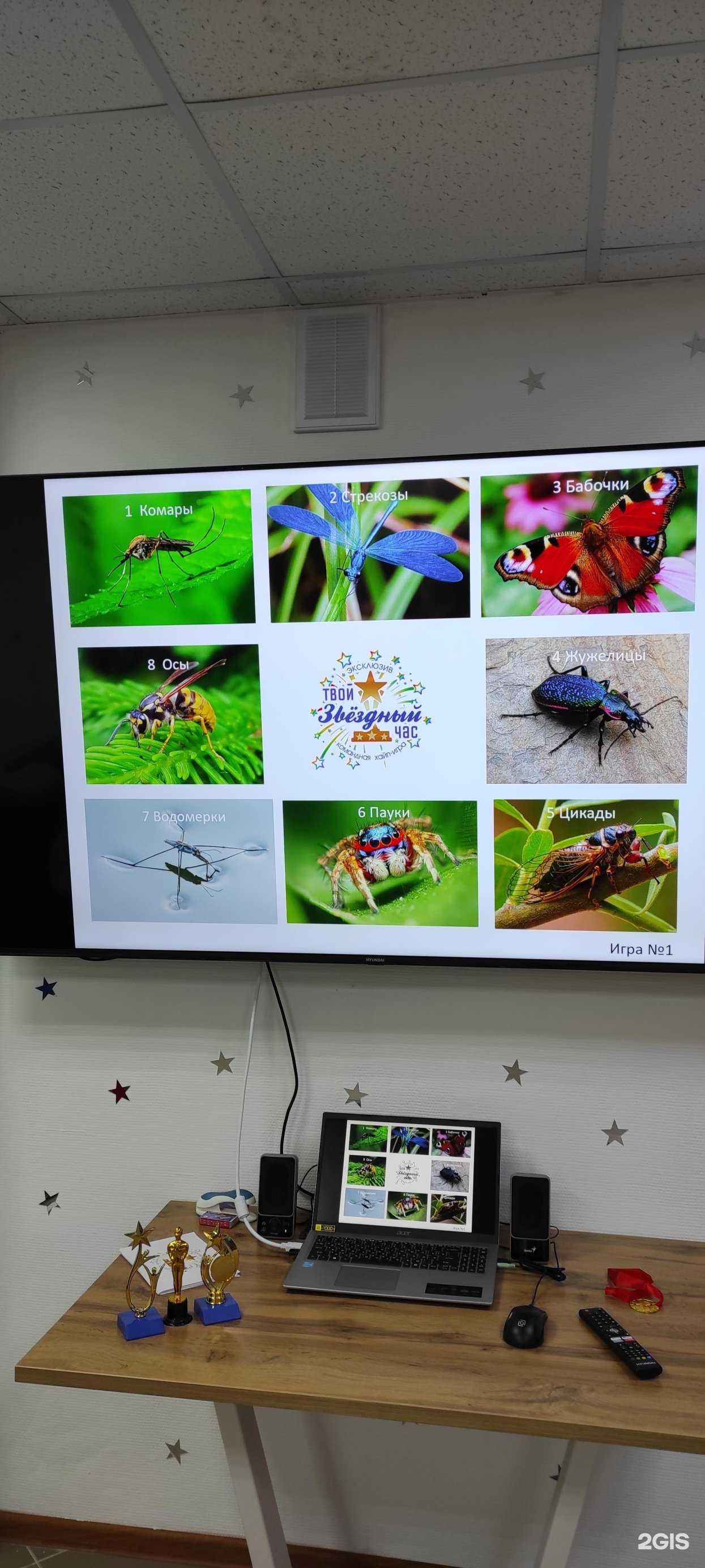 Отзывы на компанию Твой звёздный час в Нижнем Новгороде c фото