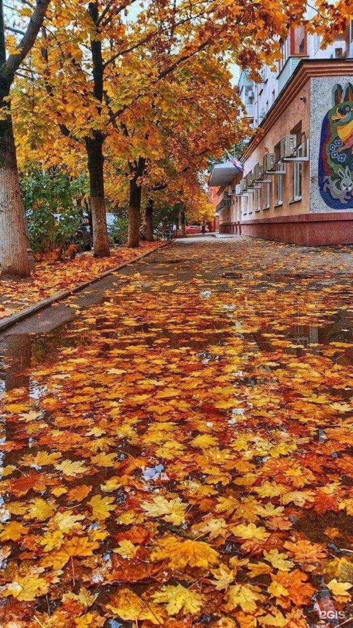 Отзывы на компанию Поликлиника №2 в г. Таганрог c фото