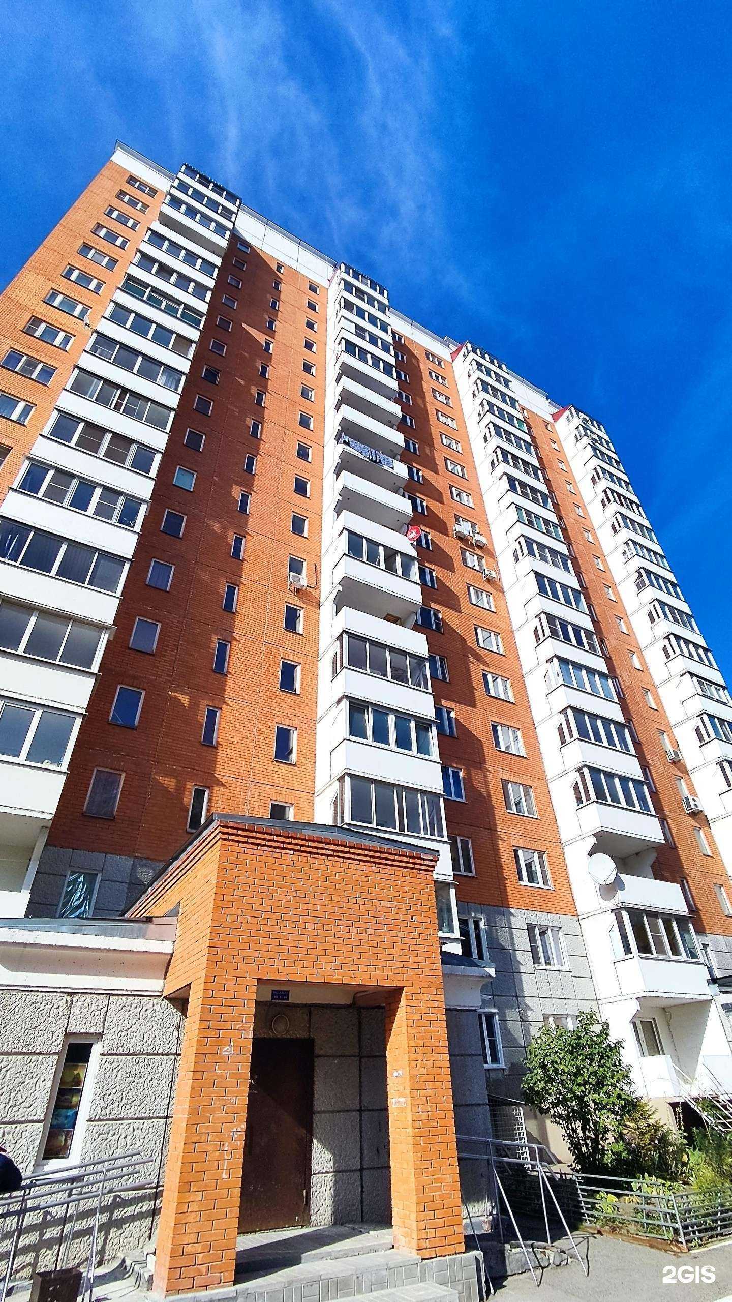 Отзывы на компанию Зоопарикмахерская в Павловском Посаде c фото