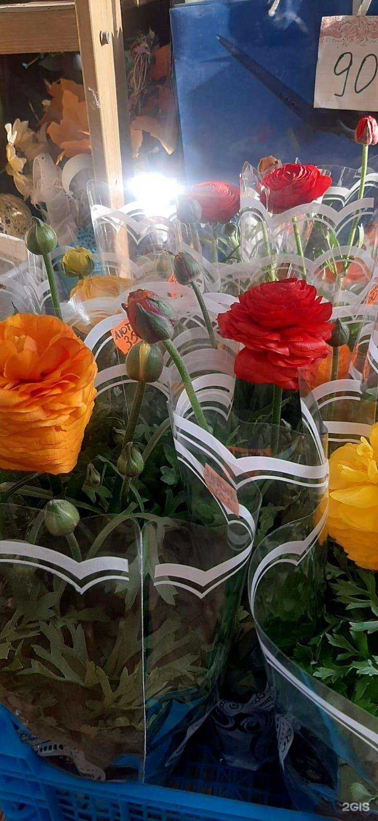 Отзывы на компанию Радуга цветов в Астрахани c фото