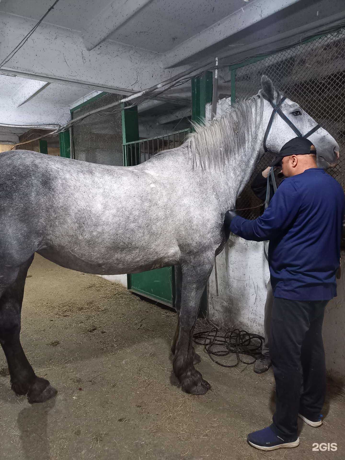 Отзывы на компанию Свой доктор в Краснослободске c фото