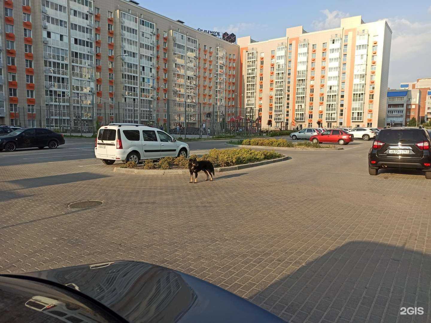 Отзывы на компанию Dental Clinik в Тольятти c фото - фотография 2 из 2