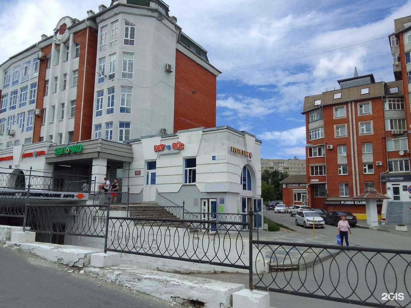 Отзывы на компанию Кот и Пёс в г. Чебоксары c фото