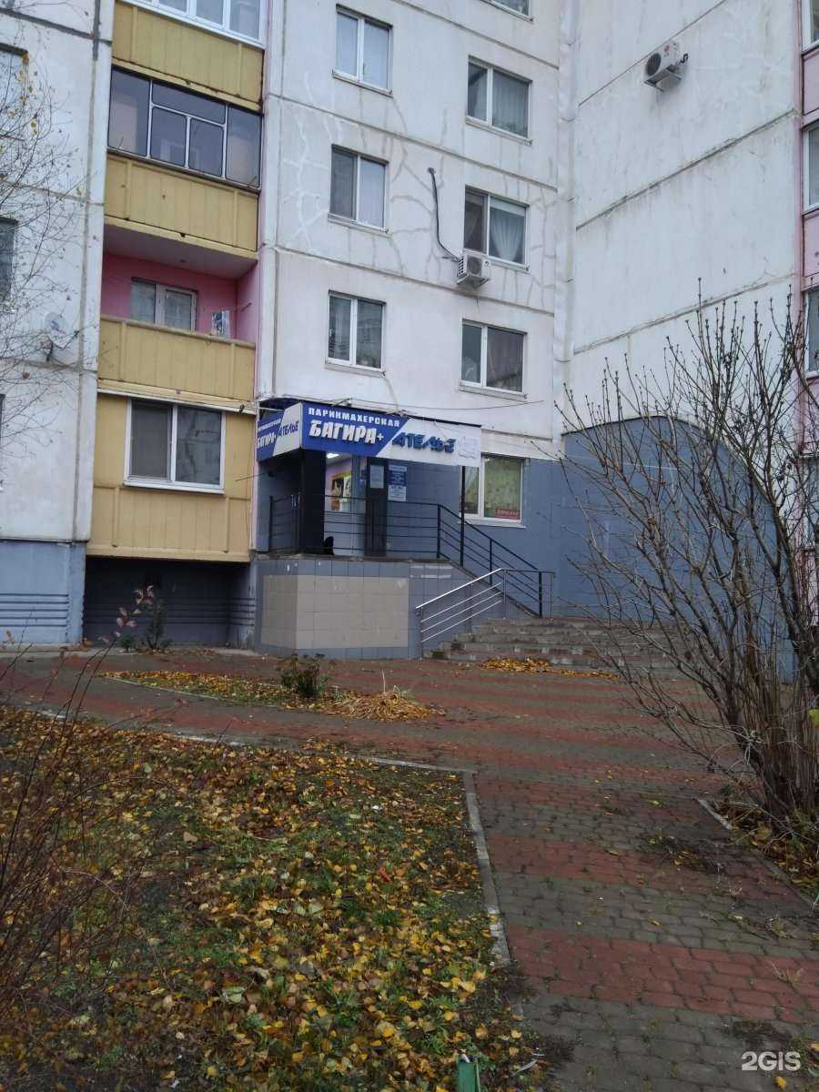 Отзывы на компанию Багира+ в Белгороде c фото