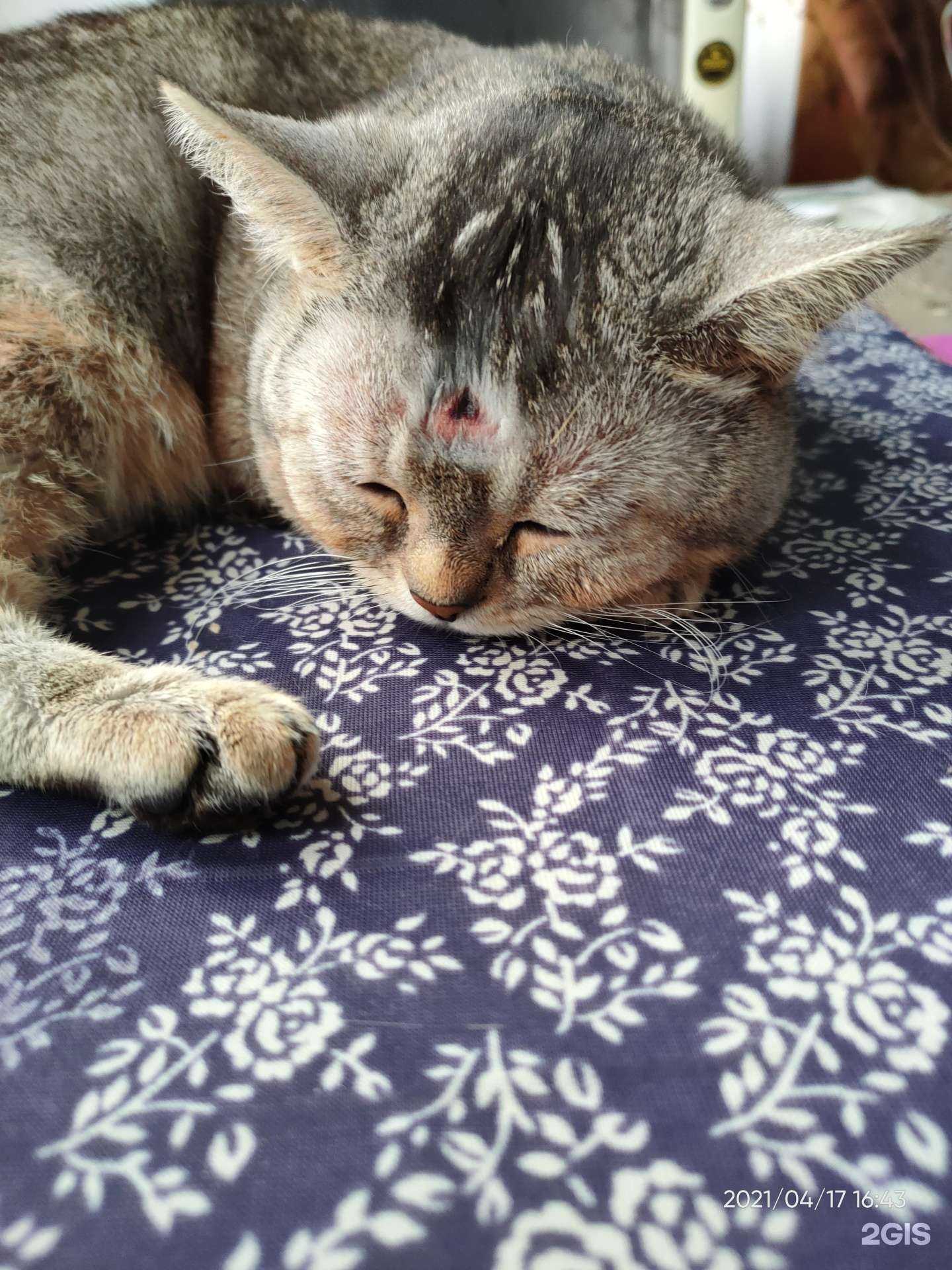 Отзывы на компанию Сириус в г. Мурманск c фото