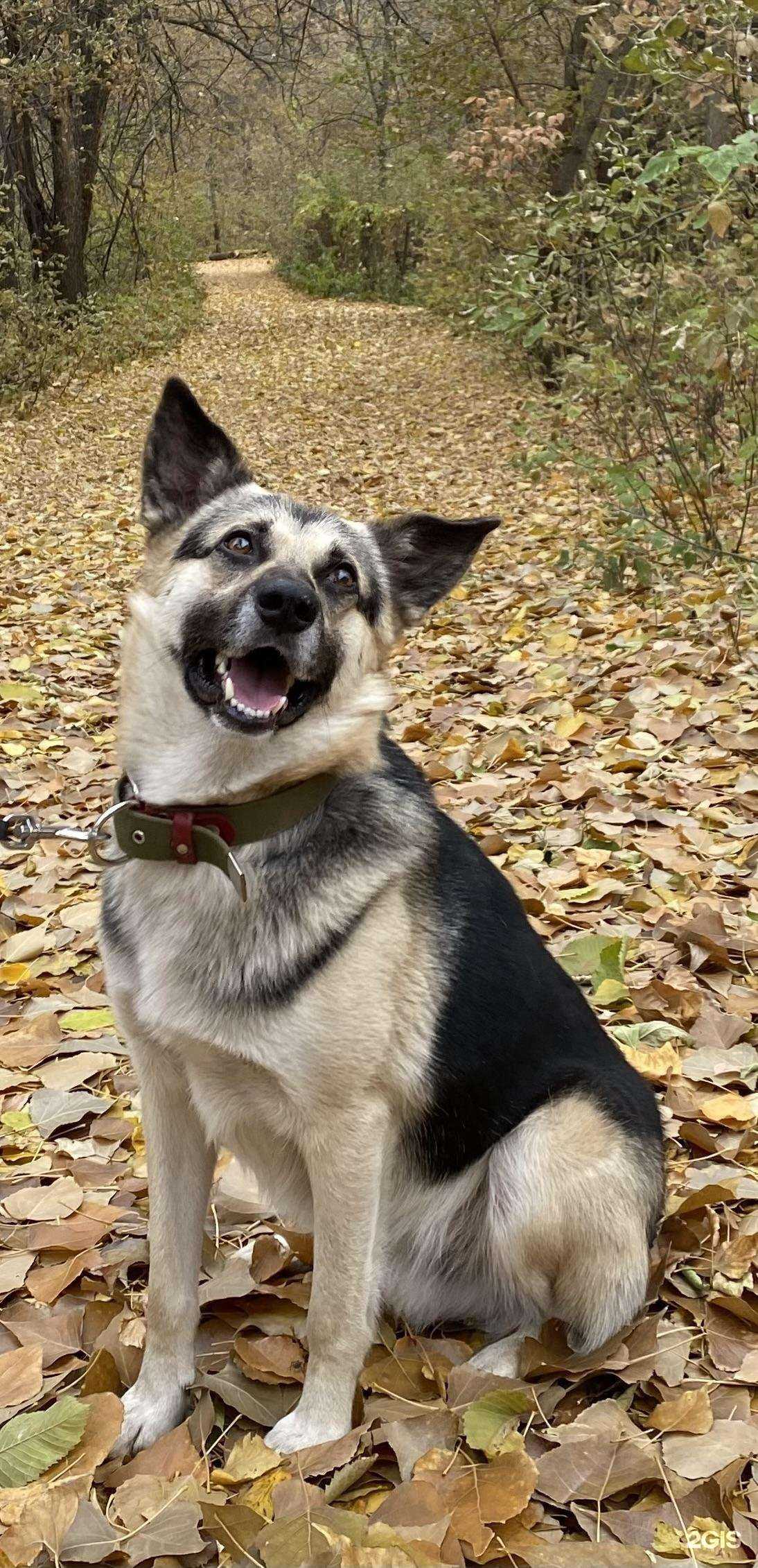 Отзывы на компанию Зоодом в Уфе c фото