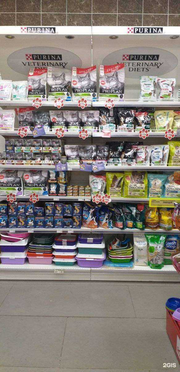 Отзывы на компанию Рыжий пес в Ярославле c фото