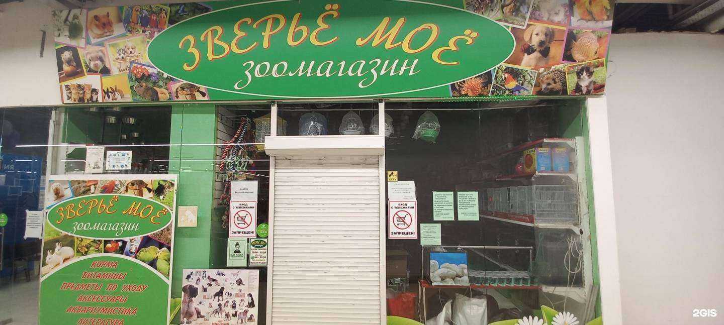 Отзывы на компанию Зверьё моё в г. Невинномысск c фото