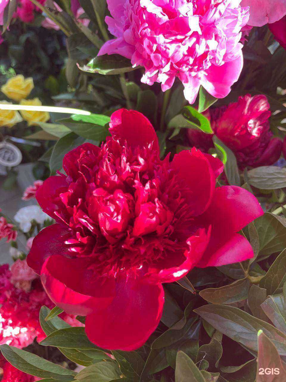 Отзывы на компанию Жасмина в г. Томск c фото