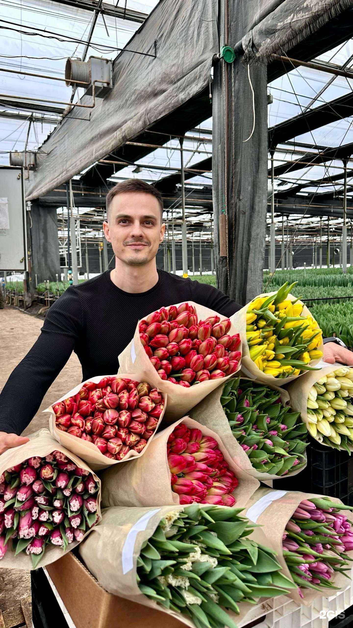 Отзывы на компанию Yes Тюльпан в Краснодаре c фото