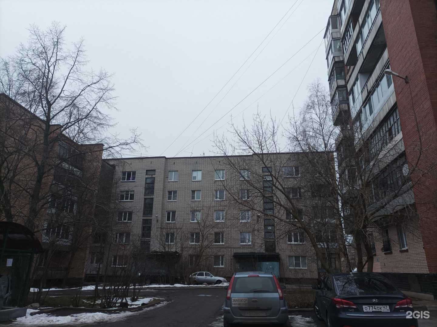 Отзывы на компанию Pro-зрение в Сосновом Боре c фото - фотография 2 из 2