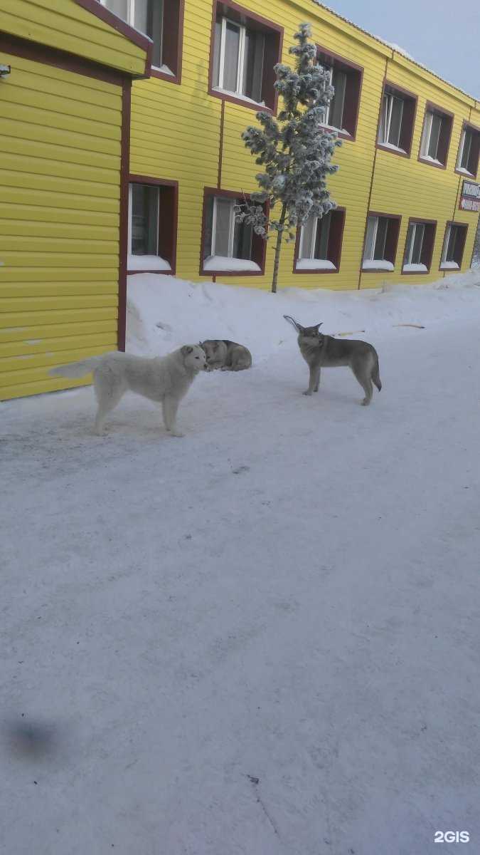 Отзывы на компанию Спектр в г. Новый Уренгой c фото