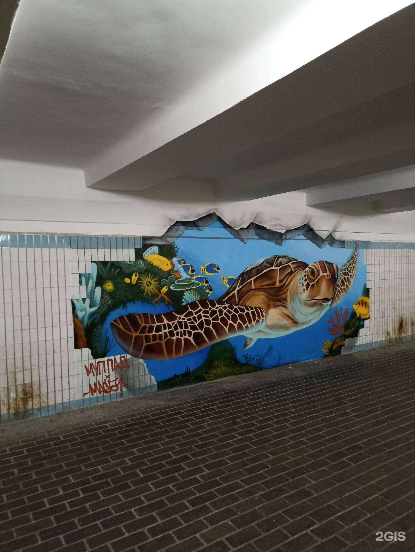 Отзывы на компанию Туфелька в Набережных Челнах c фото - фотография 2 из 2