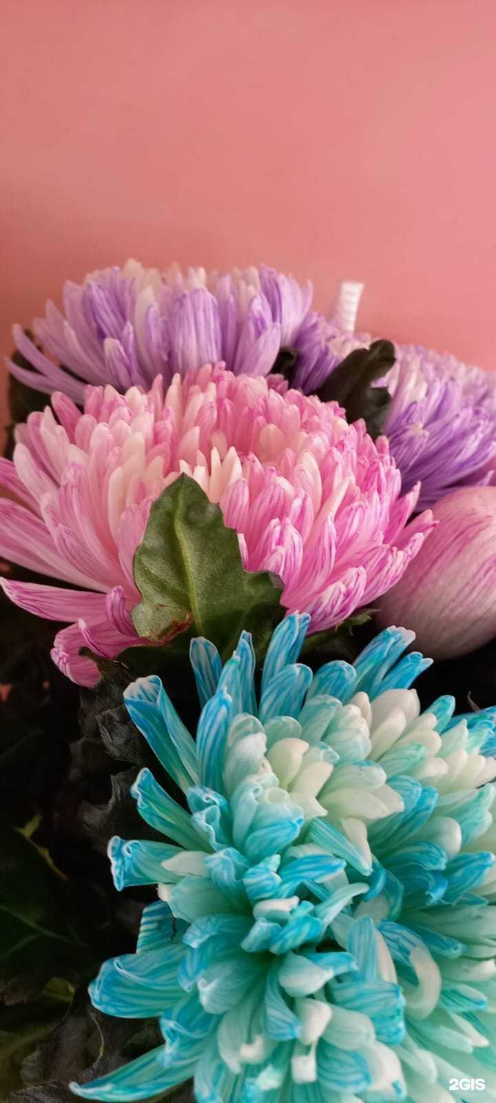 Отзывы на компанию ЦветLine.72 в г. Тюмень c фото