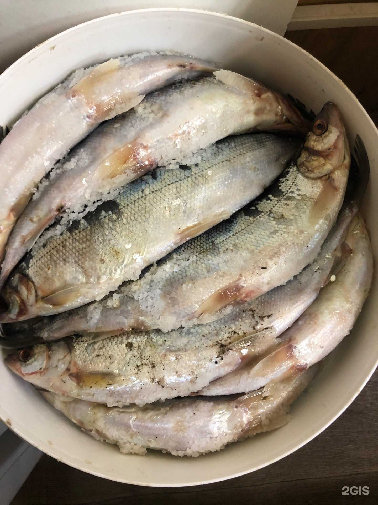 Отзывы на компанию Живи вкусно в Красноярске c фото