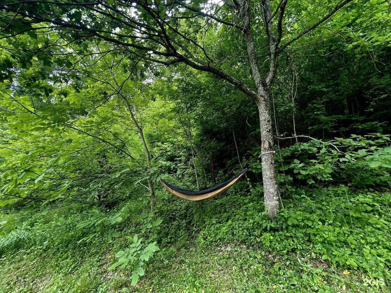 Отзывы на компанию Отшельник в Геленджике c фото