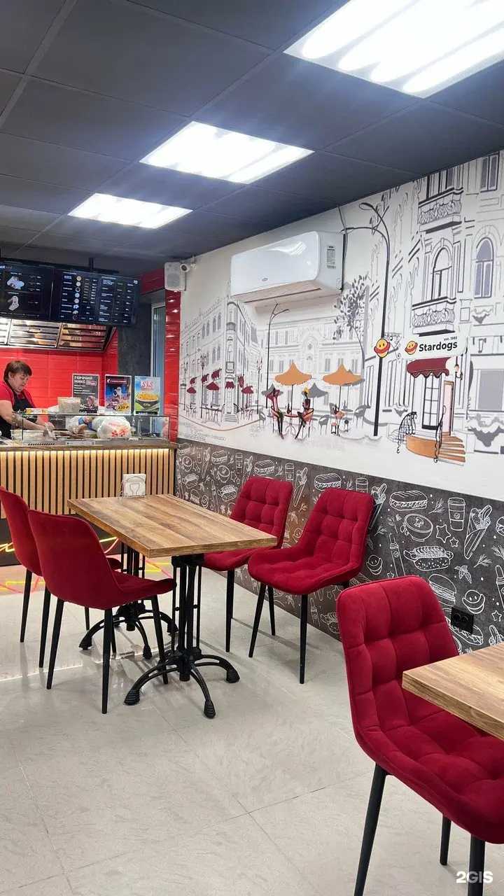 Отзывы на компанию Stardogs в Воронеже c фото