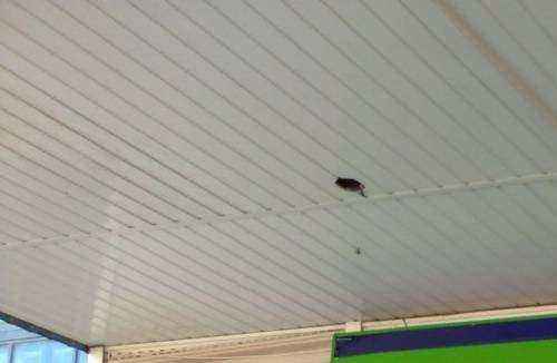 Отзывы на компанию Fix price в Великом Новгороде c фото