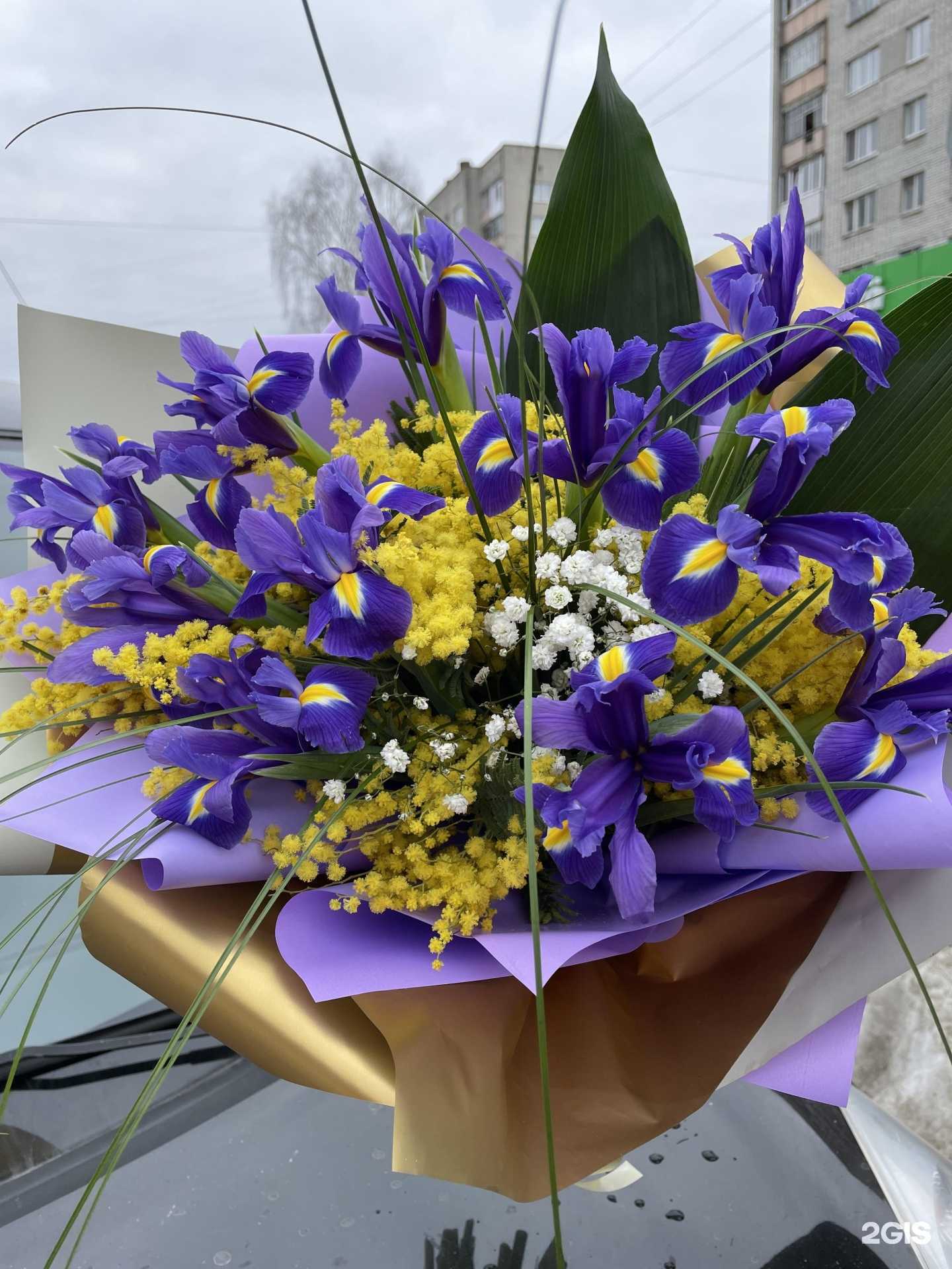 Отзывы на компанию Герберка в г. Брянск c фото