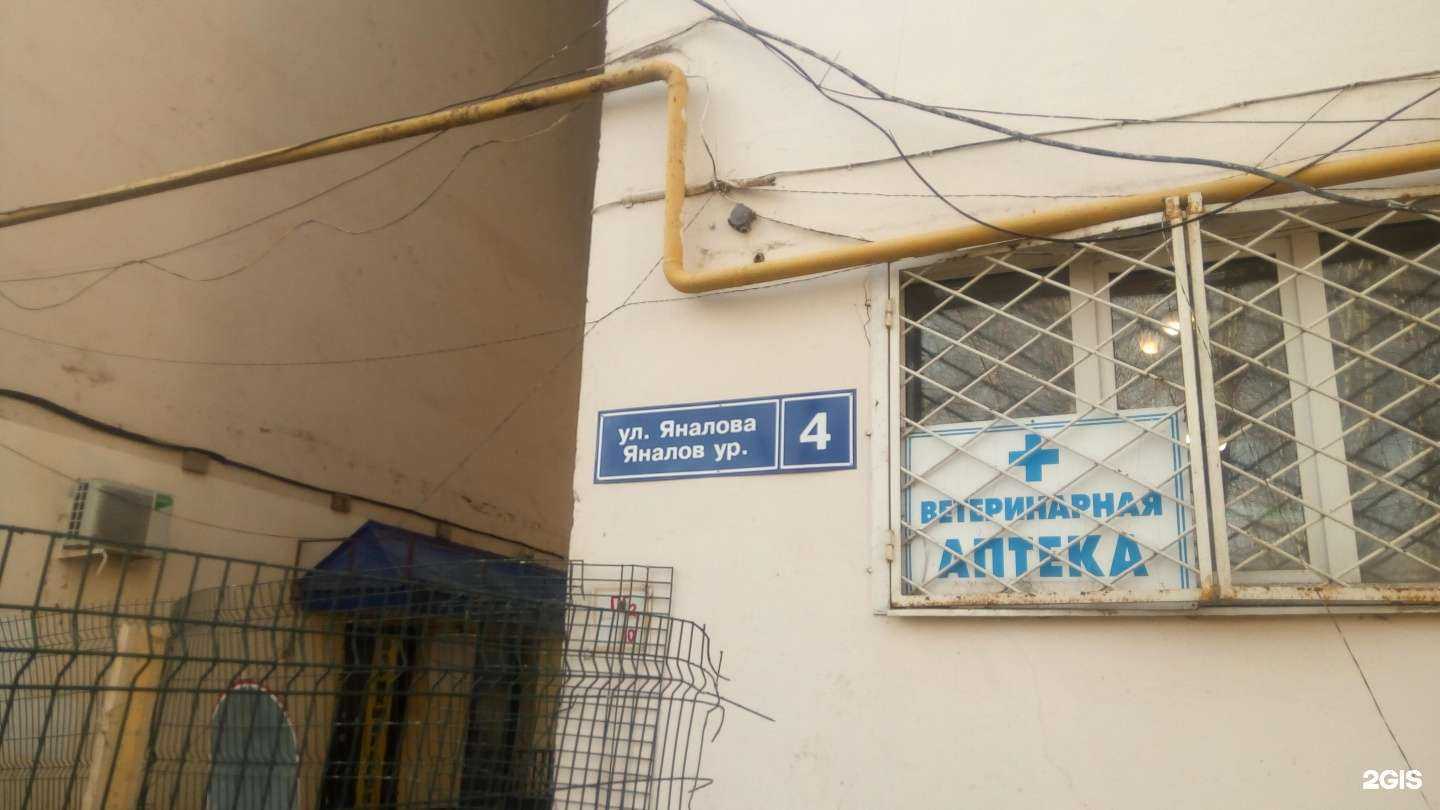 Отзывы на компанию Улыбка радуги в Йошкар-Оле c фото - фотография 2 из 2