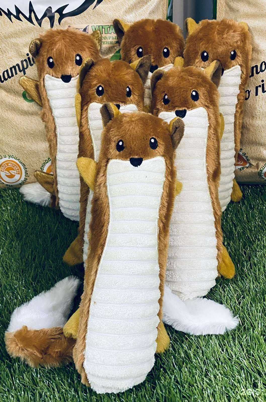 Отзывы на компанию Акари Киар в Сургуте c фото