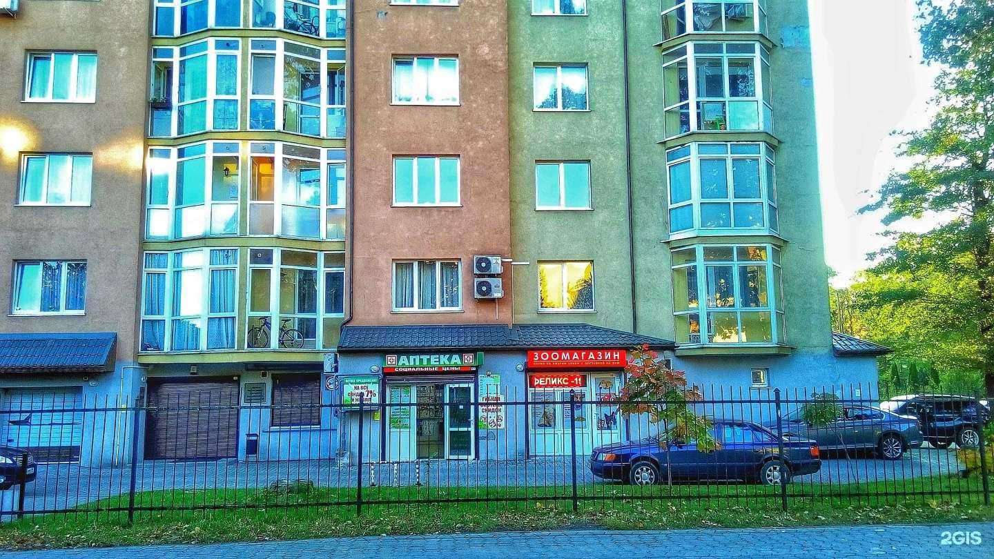 Отзывы на компанию Зоомагазин в Калининграде c фото - фотография 2 из 2