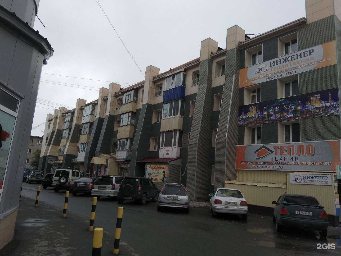 Отзывы на компанию Кот и пёс в Петропавловске-Камчатском c фото - фотография 2 из 2