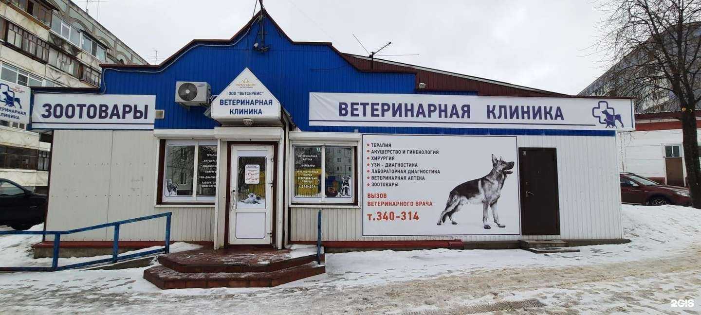 Отзывы на компанию Ветсервис в г. Сыктывкар c фото