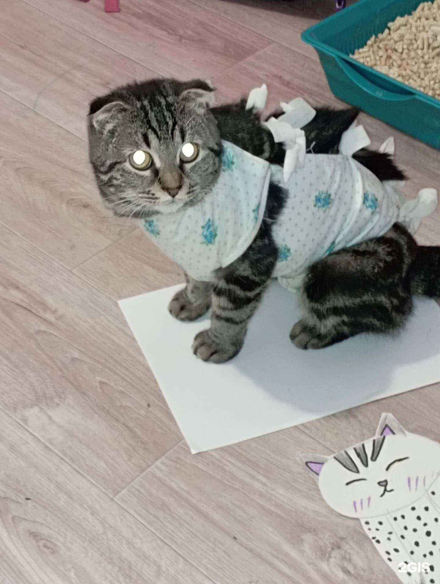 Отзывы на компанию Лекарь в г. Воронеж c фото