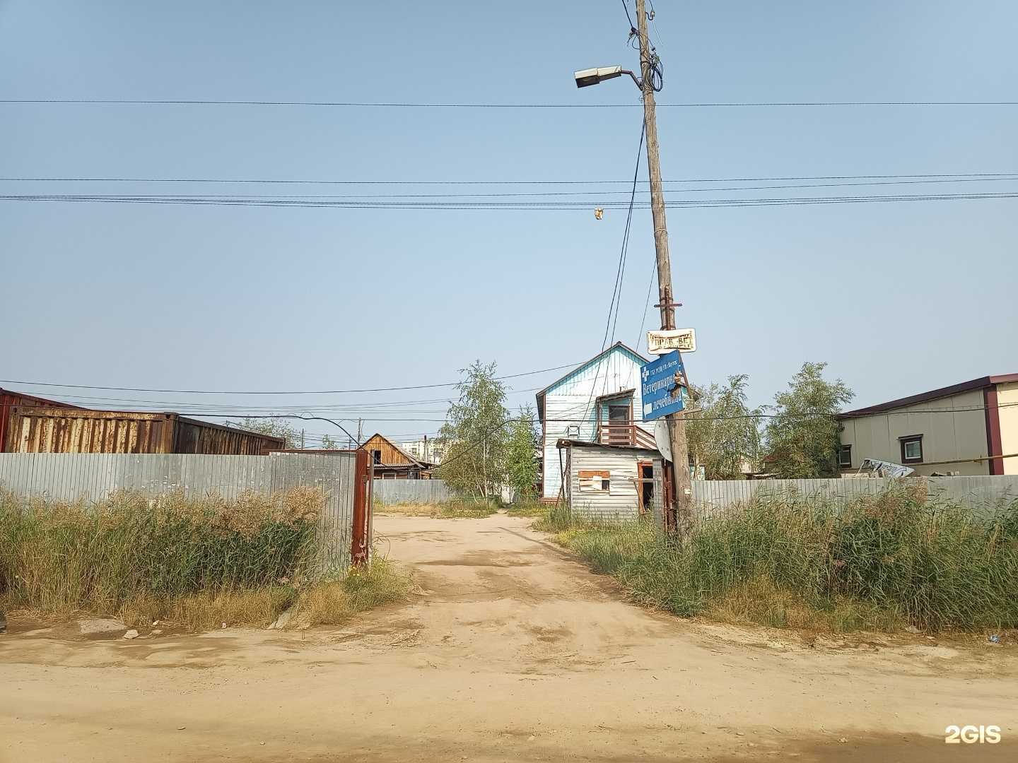 Отзывы на компанию Управление ветеринарии г. Якутска в Якутске c фото - фотография 2 из 2