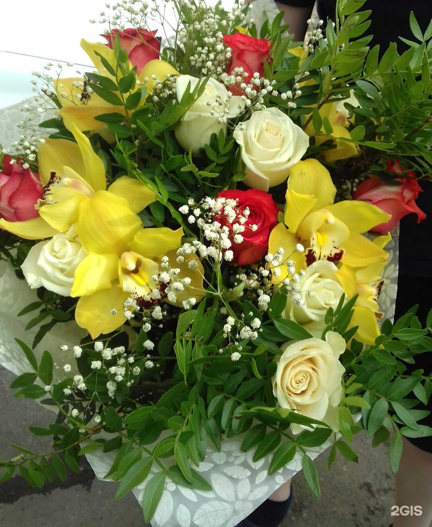 Отзывы на компанию Камелия в г. Бийск c фото