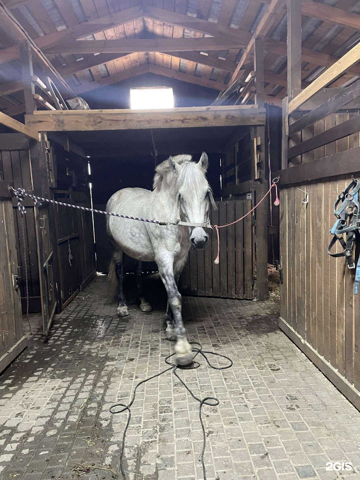 Отзывы на компанию Владимирский в г. Тюмень c фото