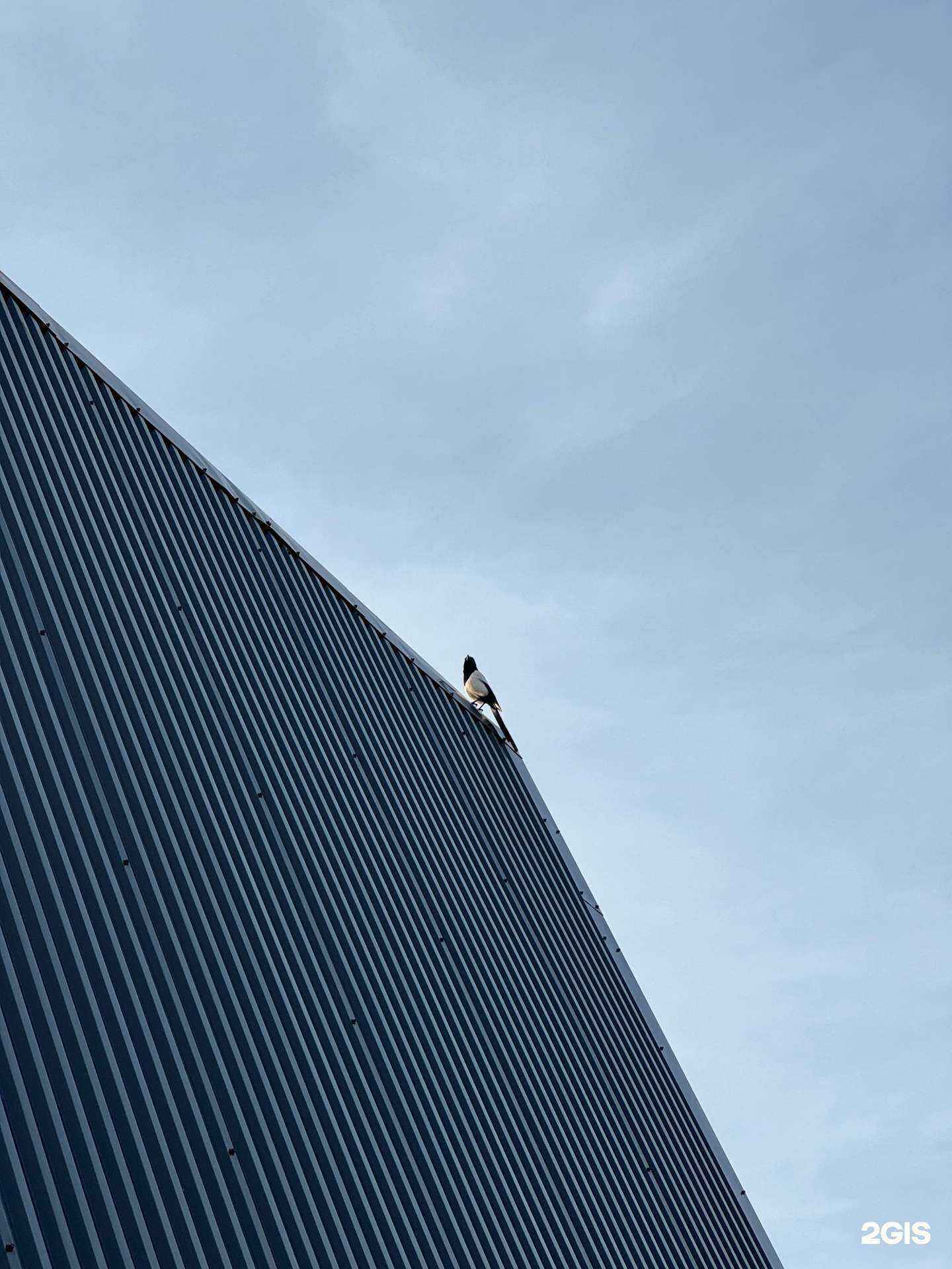 Отзывы на компанию Новый мир в г. Альметьевск c фото