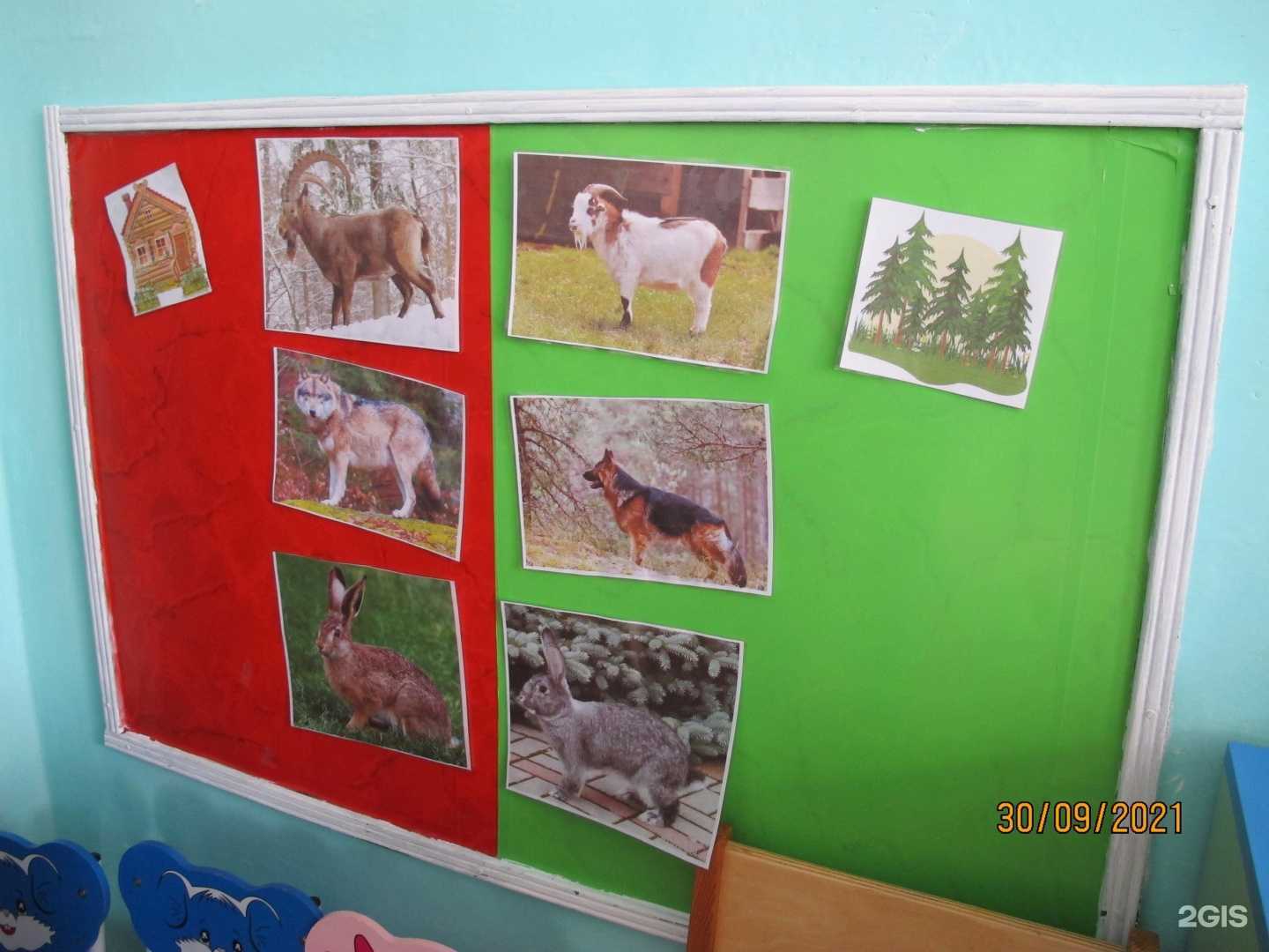 Отзывы на компанию Детский сад №315 г. Челябинска в г. Челябинск c фото