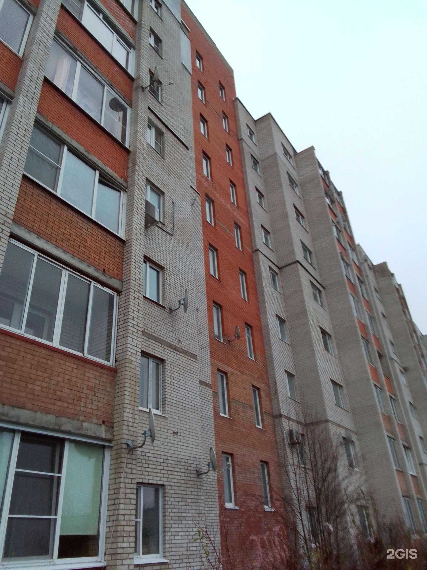 Отзывы на компанию Лиса в Малоярославеце c фото - фотография 2 из 2