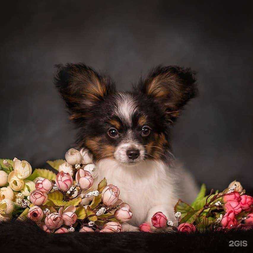 Отзывы на компанию Академия в Находке c фото