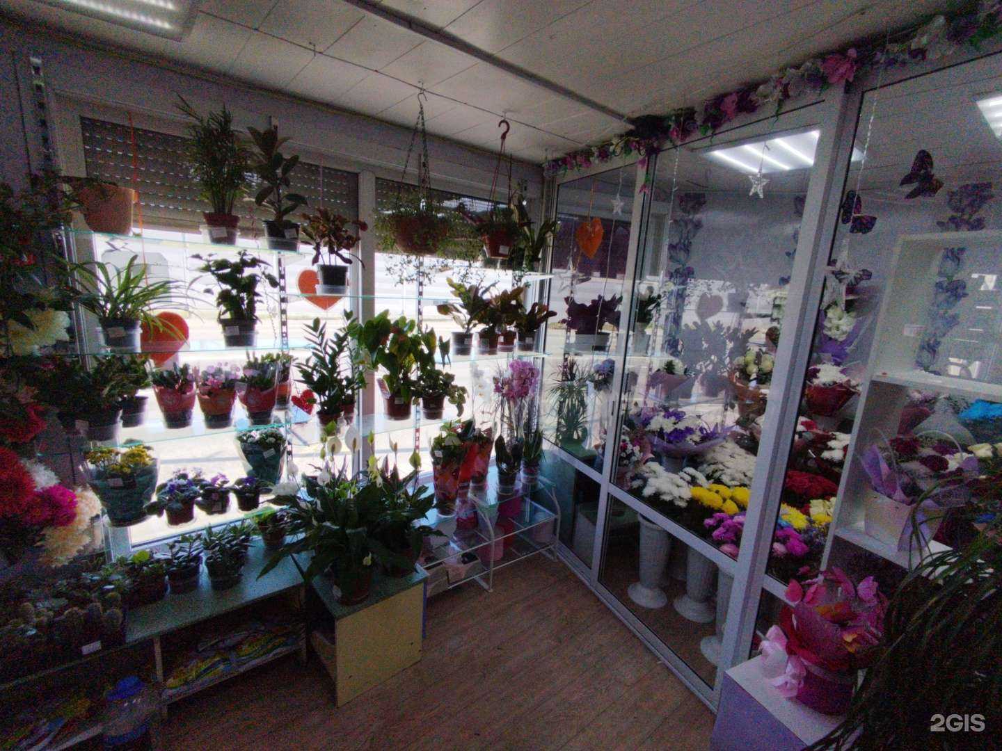 Отзывы на компанию Фортуна в г. Первоуральск c фото