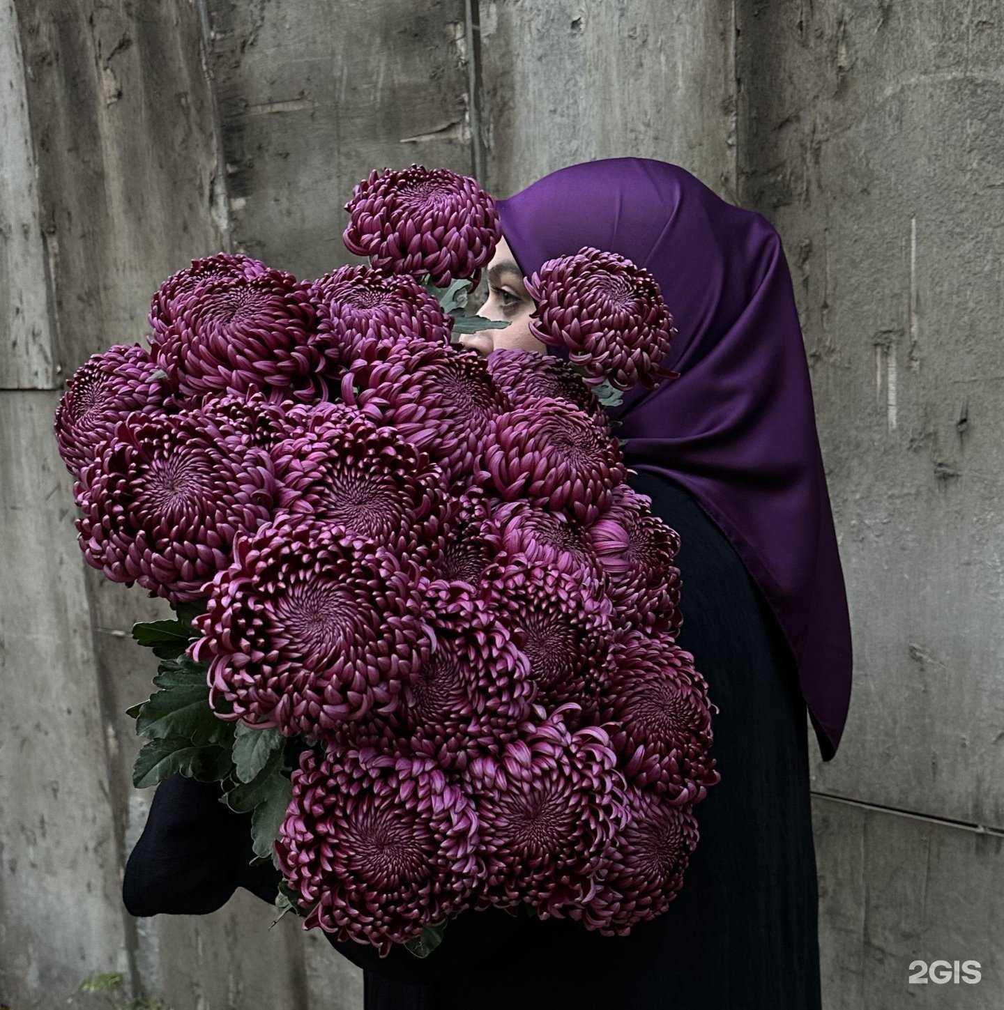 Отзывы на компанию La bella vita в Махачкале c фото