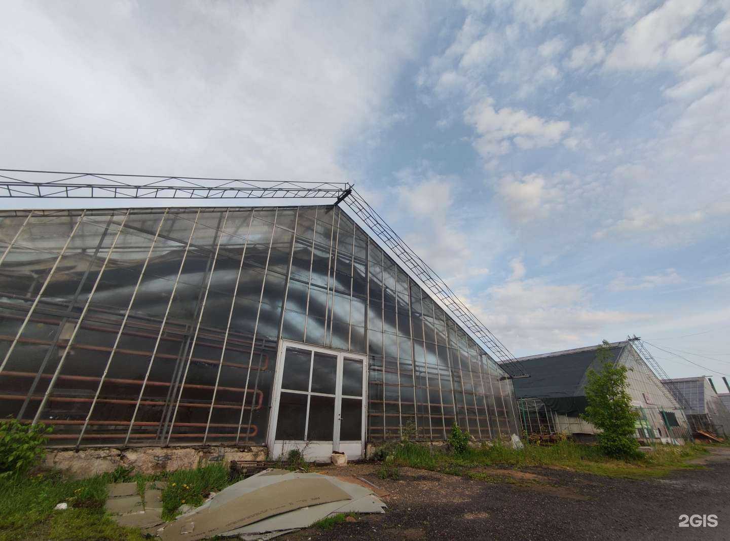 Отзывы на компанию Vremonte group в Пушкине c фото - фотография 2 из 2