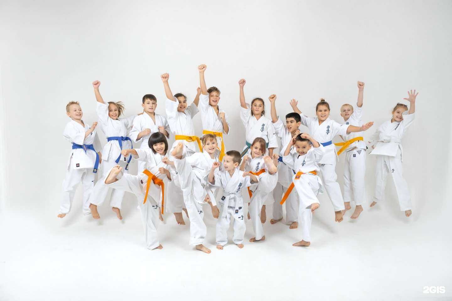 Отзывы на компанию Киокушинкай каратэ-до НГООКК в Нижневартовске c фото