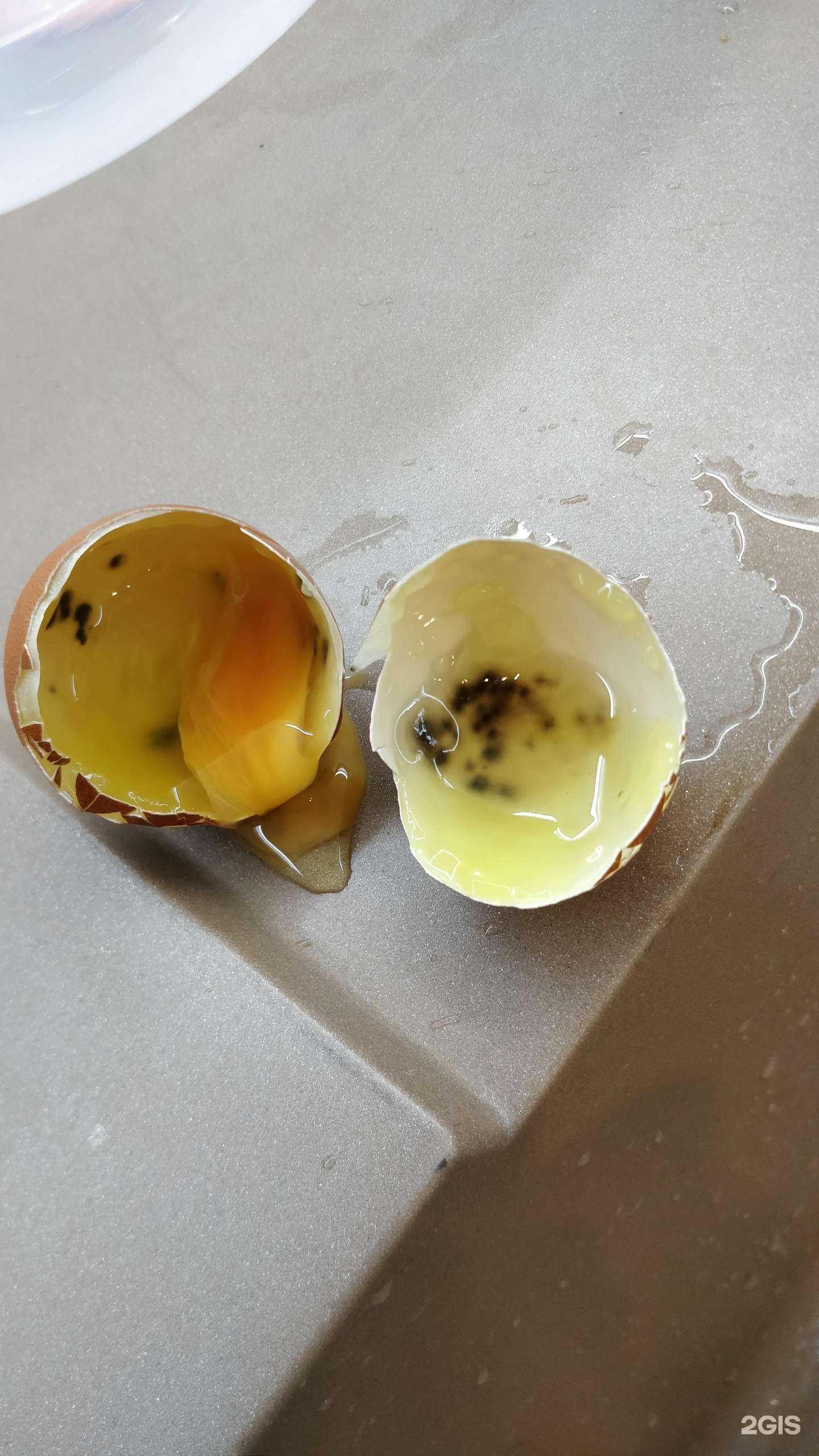 Отзывы на компанию Пионерское в Петропавловске-Камчатском c фото