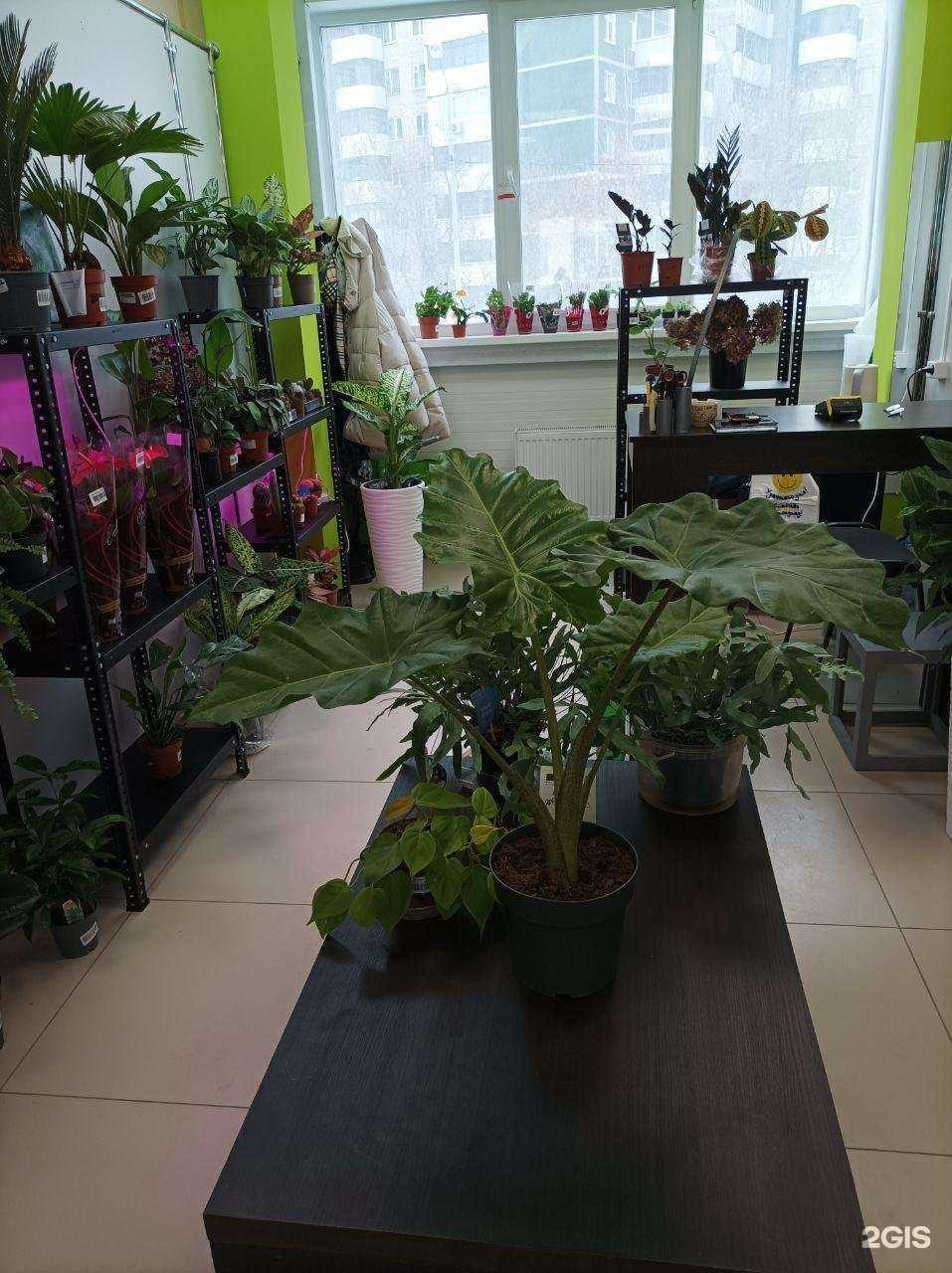 Отзывы на компанию Акатон в Перми c фото