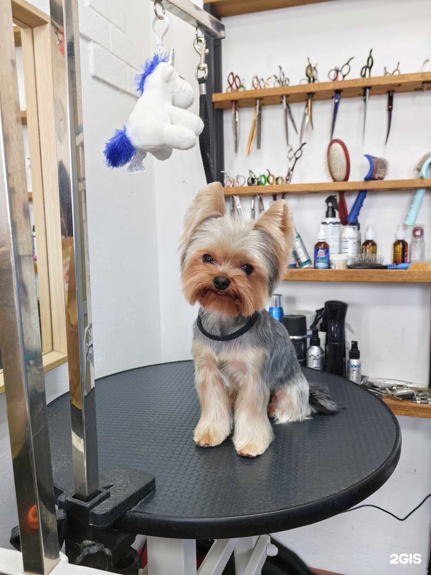 Отзывы на компанию Без меха в Краснодаре c фото